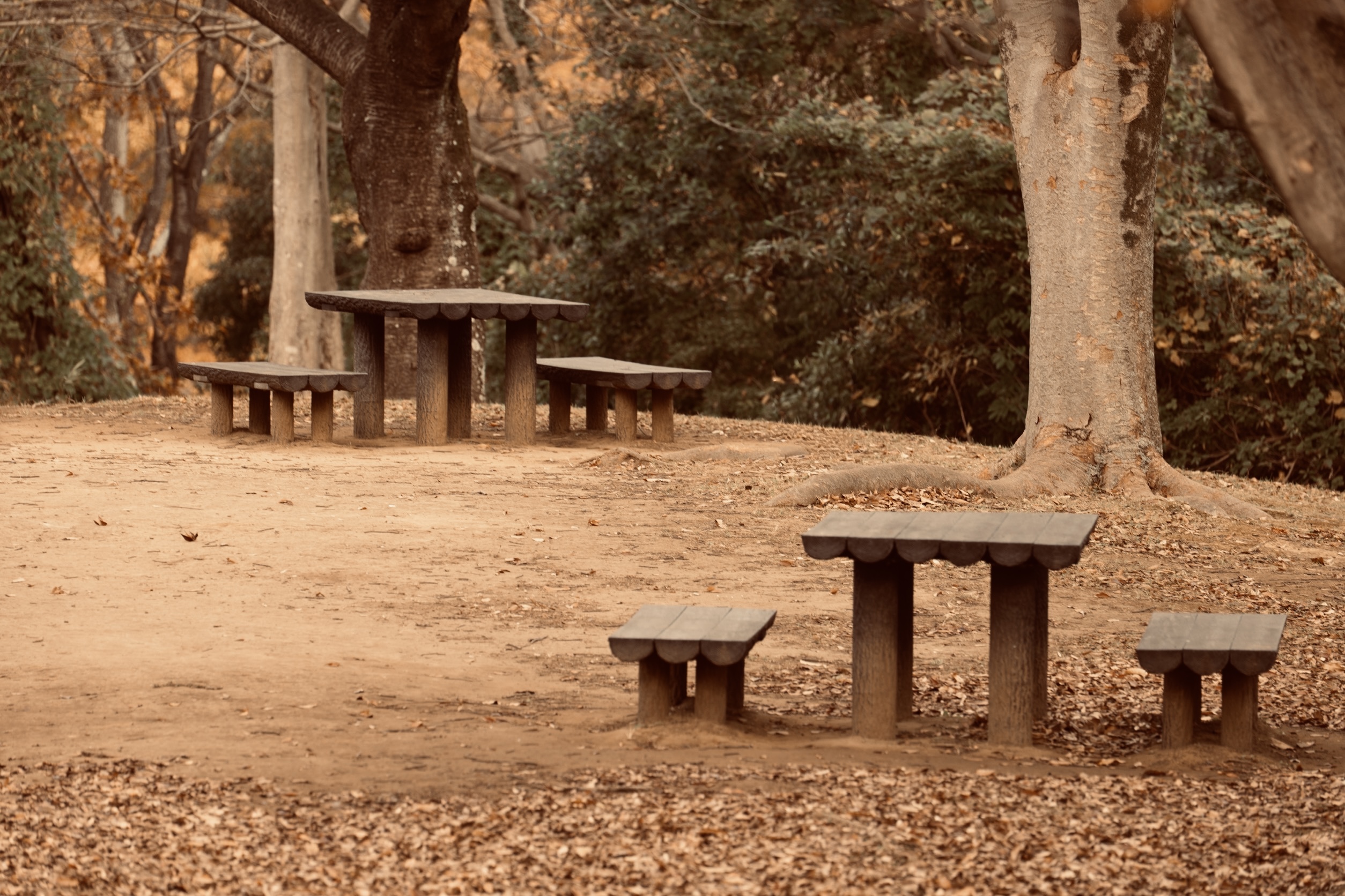 Bench